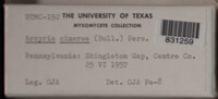 Image Associated With the Occurence